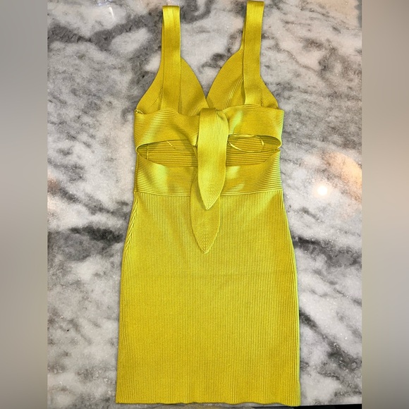 Endless Rose Bodycon Dress - Picture 6 of 7